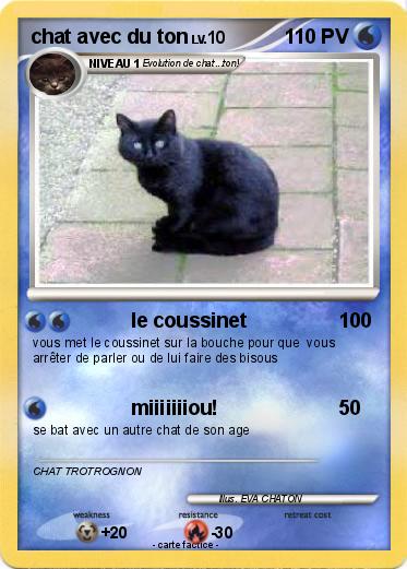 Pokemon chat avec du ton