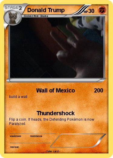 Pokemon Donald Trump