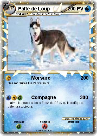 Pokemon Patte de Loup