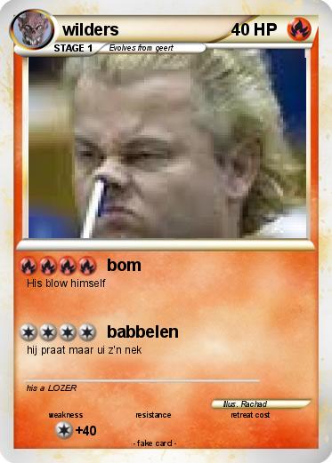 Pokemon wilders