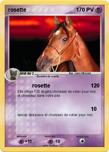 Pokemon rosette