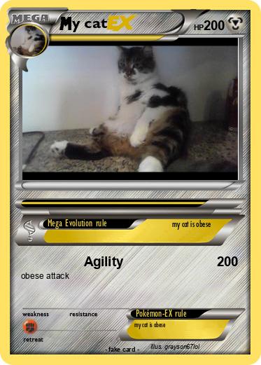 Pokemon y cat