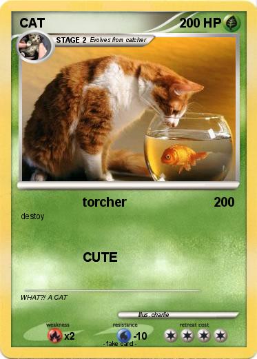 Pokemon CAT