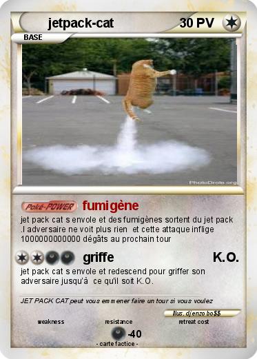 Pokemon jetpack-cat