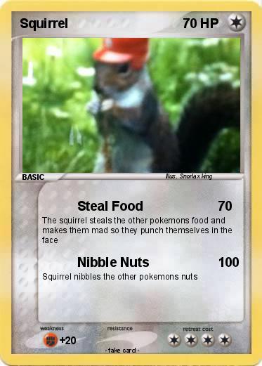 Pokemon Squirrel