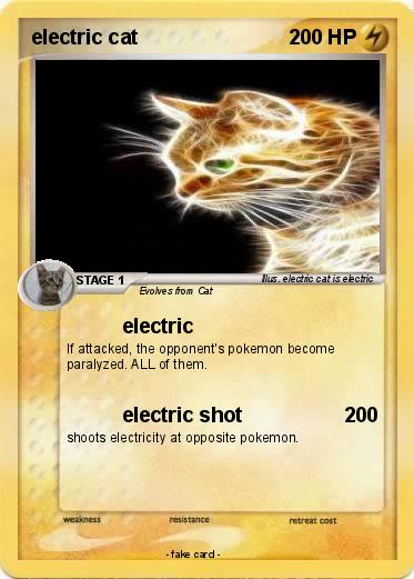 Pokemon electric cat