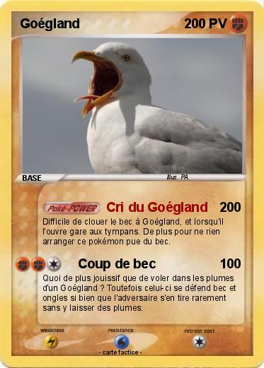 Pokemon Goégland