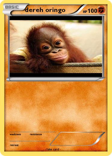 Pokemon dereh oringo