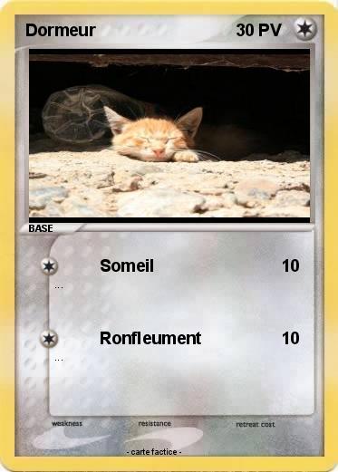 Pokemon Dormeur