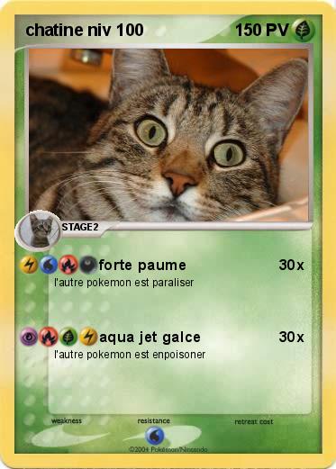 Pokemon chatine niv 100