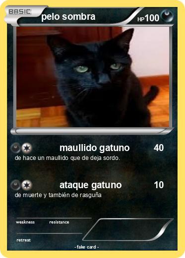 Pokemon pelo sombra