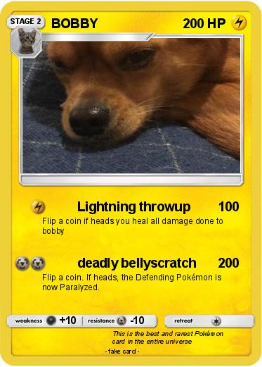 Pokemon BOBBY