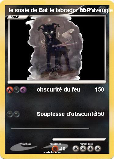 Pokemon le sosie de Bat le labrador noir aveugle