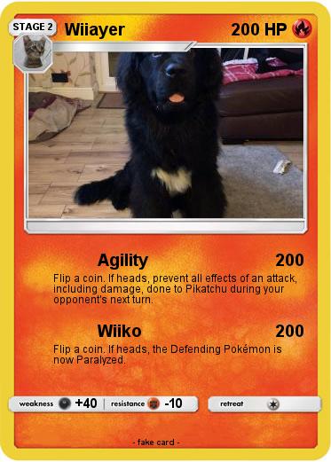 Pokemon Wiiayer