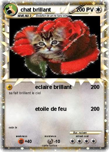 Pokemon chat brillant