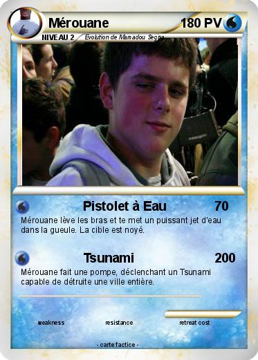 Pokemon Mérouane