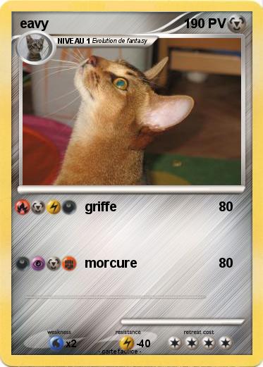 Pokemon eavy
