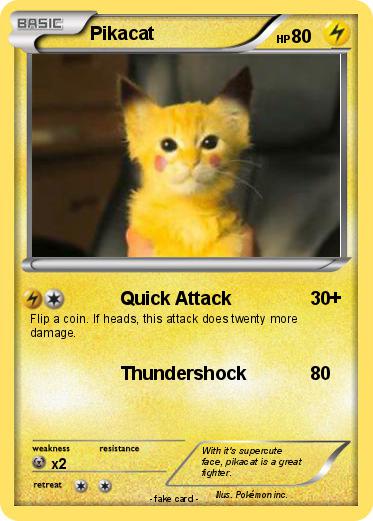Pokemon Pikacat