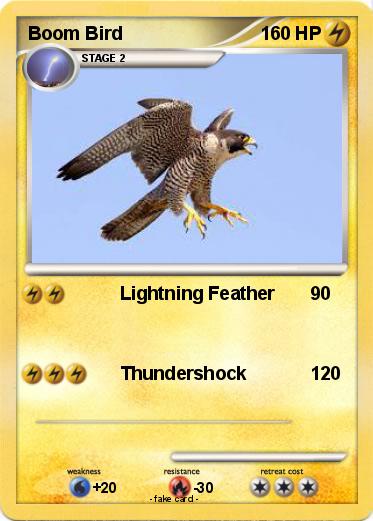 Pokemon Boom Bird