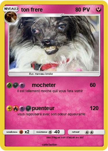 Pokemon ton frere