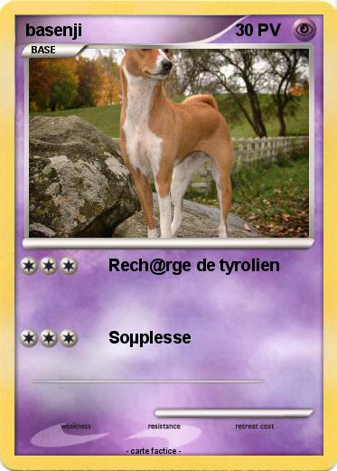 Pokemon basenji