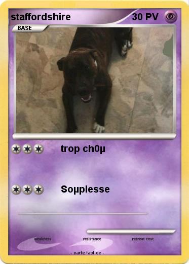 Pokemon staffordshire