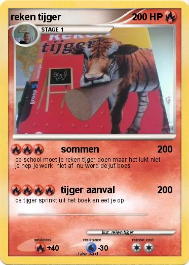 Pokemon reken tijger