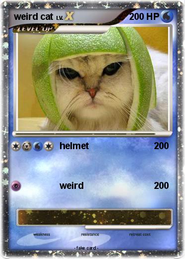 Pokemon weird cat