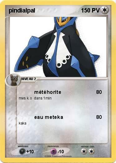 Pokemon pindialpal