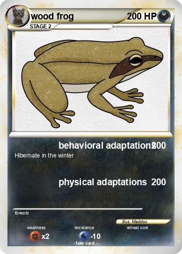 Pokemon wood frog