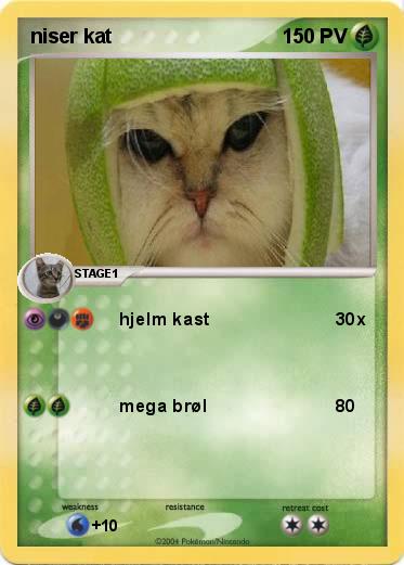 Pokemon niser kat