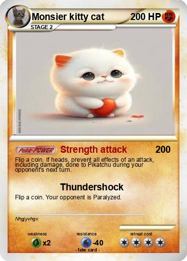 Pokemon Monsier kitty cat