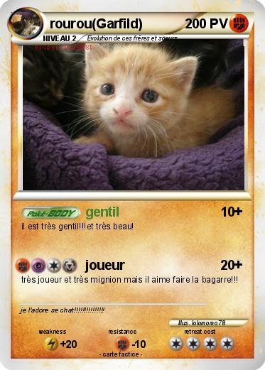 Pokemon rourou(Garfild)