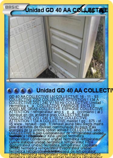 Pokemon Unidad GD 40 AA COLLECTIVE