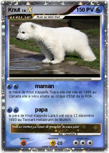 Pokemon Knut