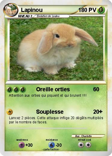 Pokemon Lapinou