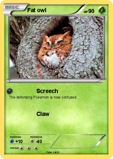 Pokemon Fat owl
