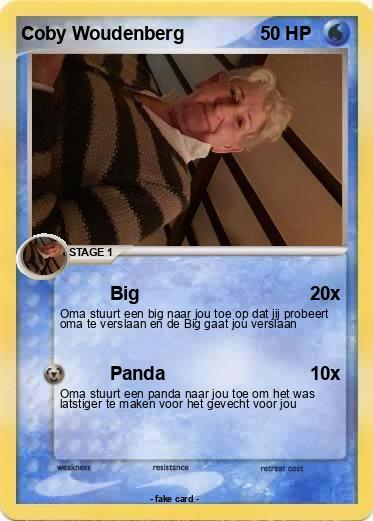 Pokemon Coby Woudenberg