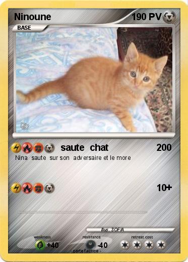 Pokemon Ninoune