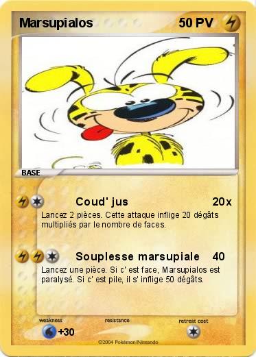 Pokemon Marsupialos