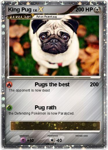 Pokemon King Pug