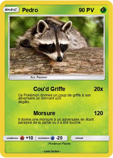 Pokemon Pedro