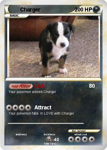 Pokemon Charger