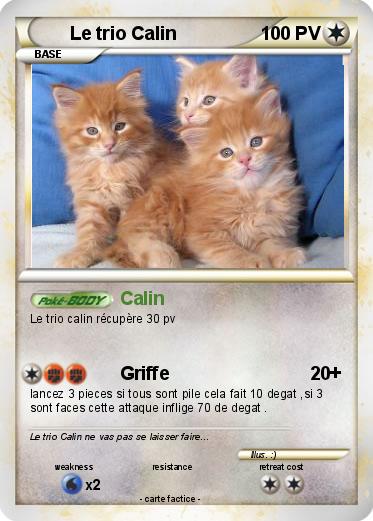 Pokemon Le trio Calin