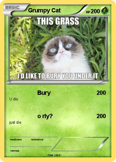 Pokemon Grumpy Cat