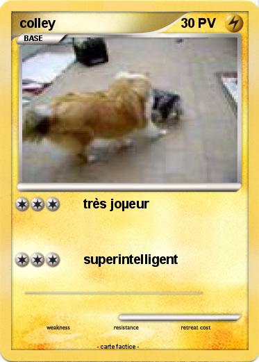 Pokemon colley
