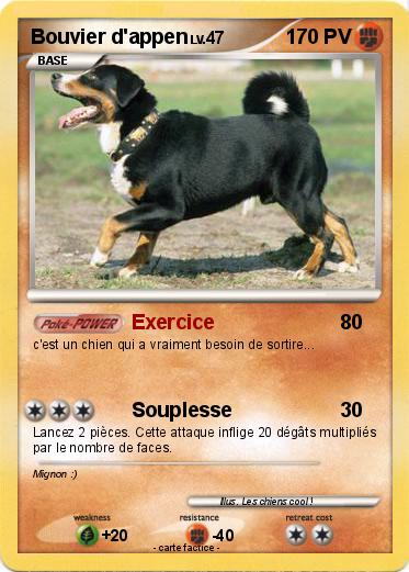 Pokemon Bouvier d'appen