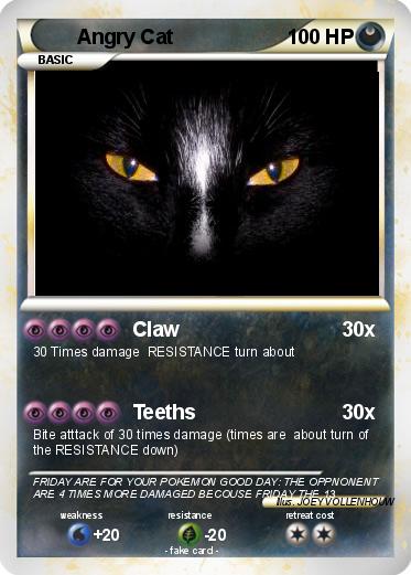 Pokemon Angry Cat