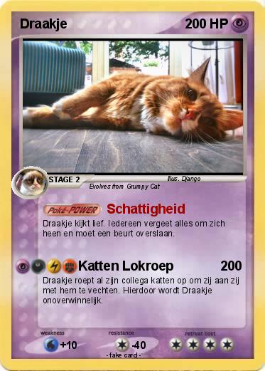 Pokemon Draakje