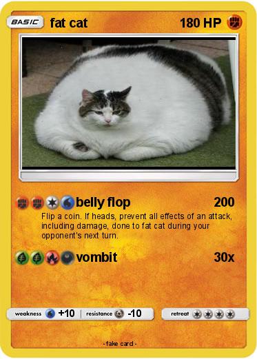 Pokemon fat cat